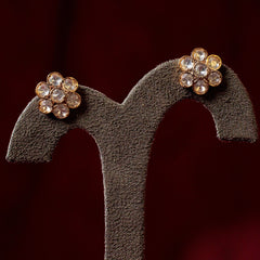 RAJRANI CHOKAR SET WITH EARRINGS