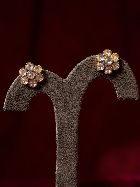 RAJRANI CHOKAR SET WITH EARRINGS